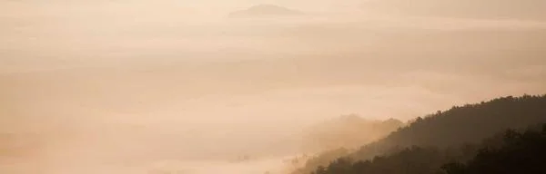 Find your GLP-1 option - personalized quiz